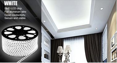 La couleur blanche chaude a mené des lumières de bande 12v/lumières de bande menées extérieures IP65 imperméable